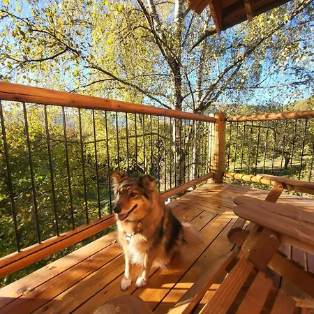 Casa Sull'albero La Quiete In Piemonte Pamparato