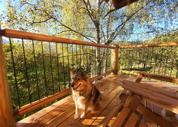 Casa Sull'albero La Quiete In Piemonte Pamparato