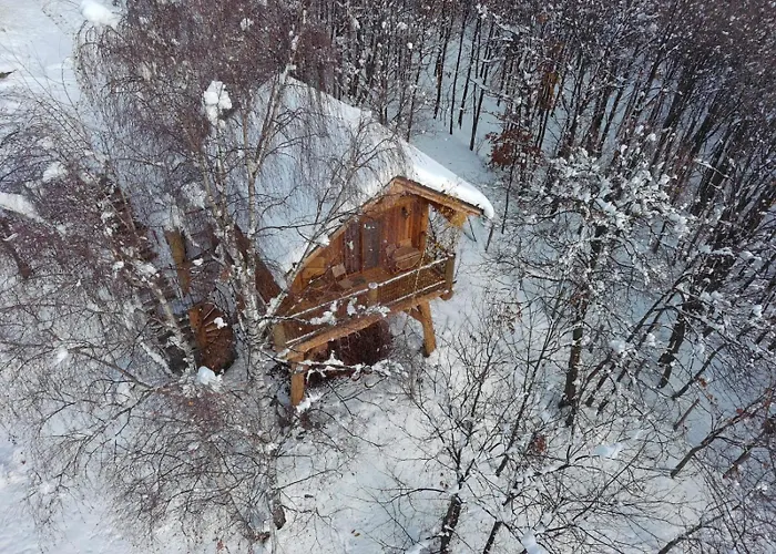 Chalet Casa Sull'albero La Quiete In Piemonte Pamparato